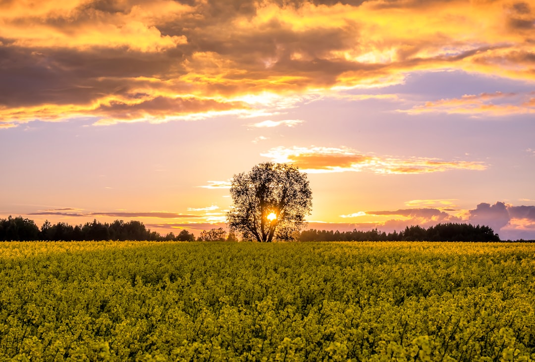 Photo Southern landscape