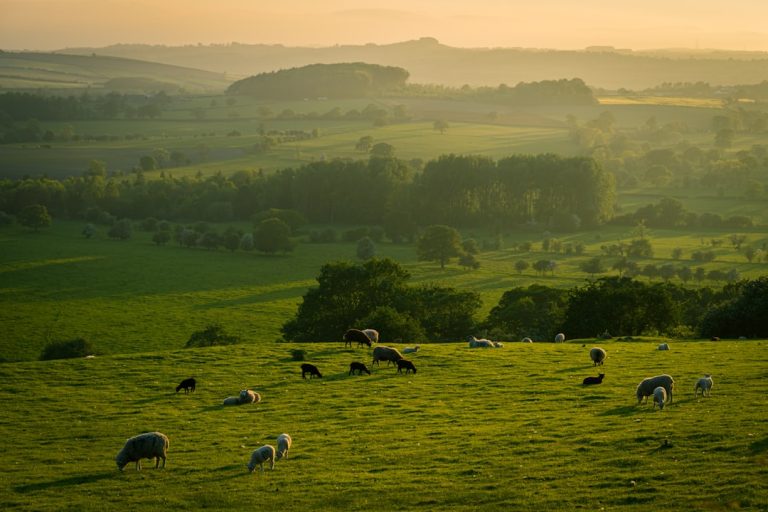 Photo Prairie landscape