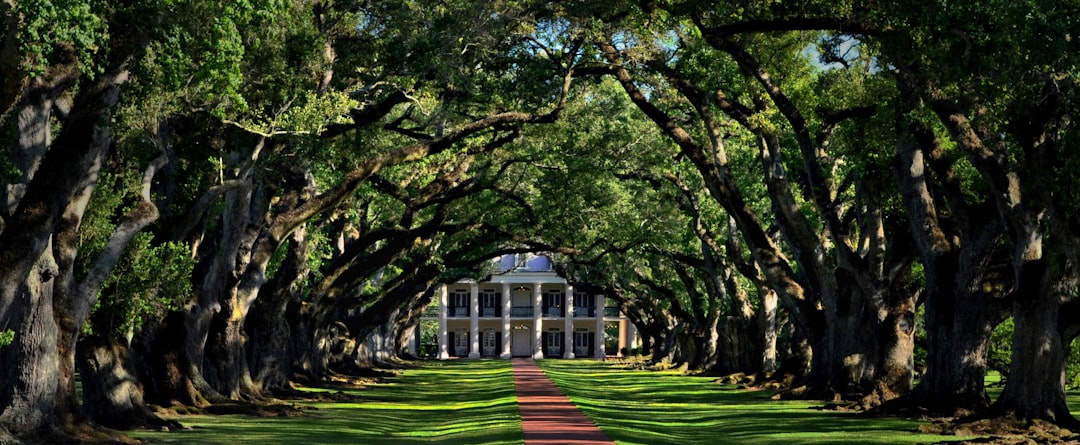 Photo Southern plantation